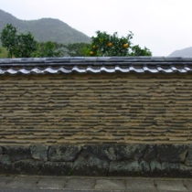 r0020876.jpg