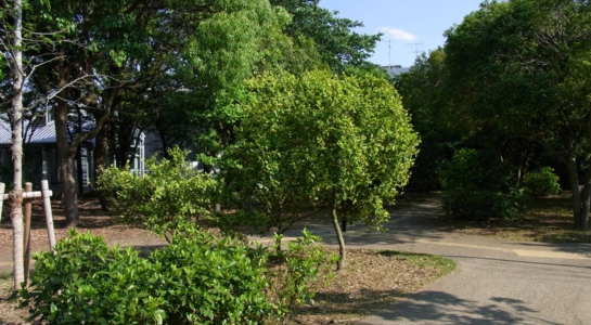 r0025362.jpg