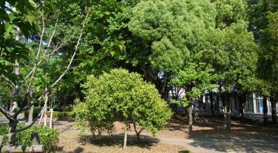 r0025380.jpg