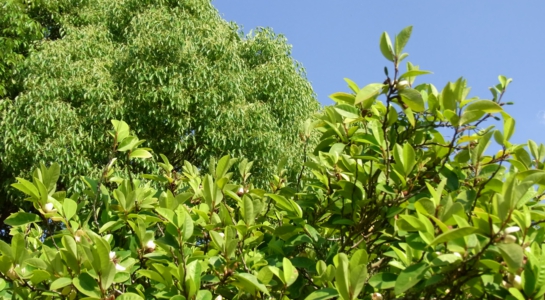 r0025390.jpg