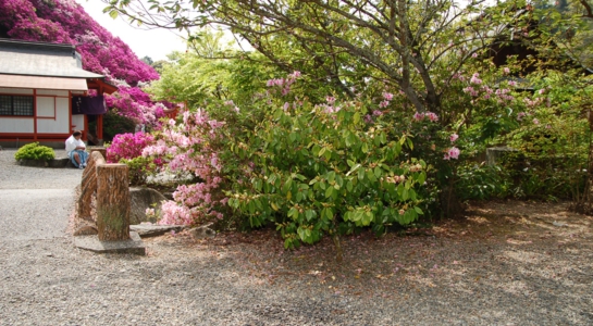 dsc_4183.jpg