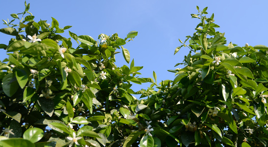 dsc_1140.jpg