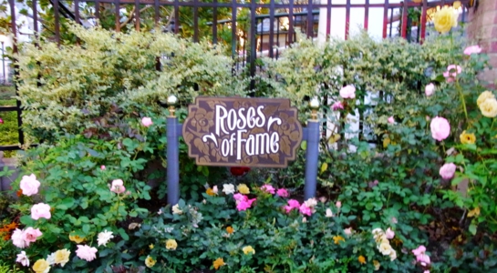 r0016415re.jpg