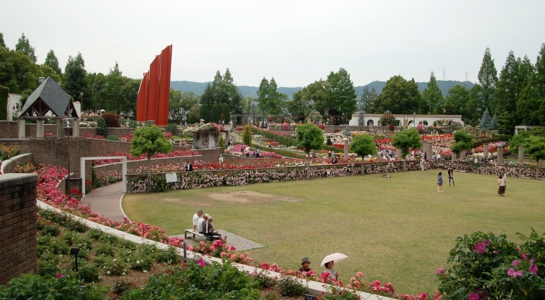 dsc_7661.jpg