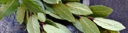 DSCN0495.jpg