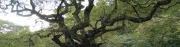 DSC_0609.jpg