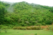 DSC_1048_2.jpg