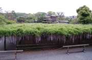 DSC_0931_2.jpg