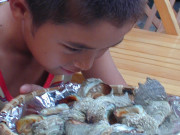 DSCN9027_1.jpg