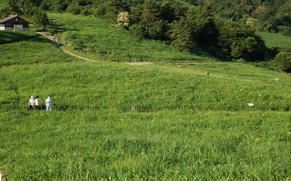 dsc_6927.jpg