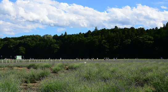 dsc_1976.jpg